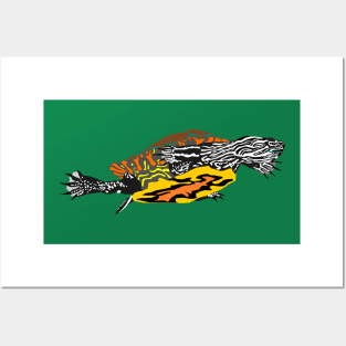 Painted Turtle Posters and Art